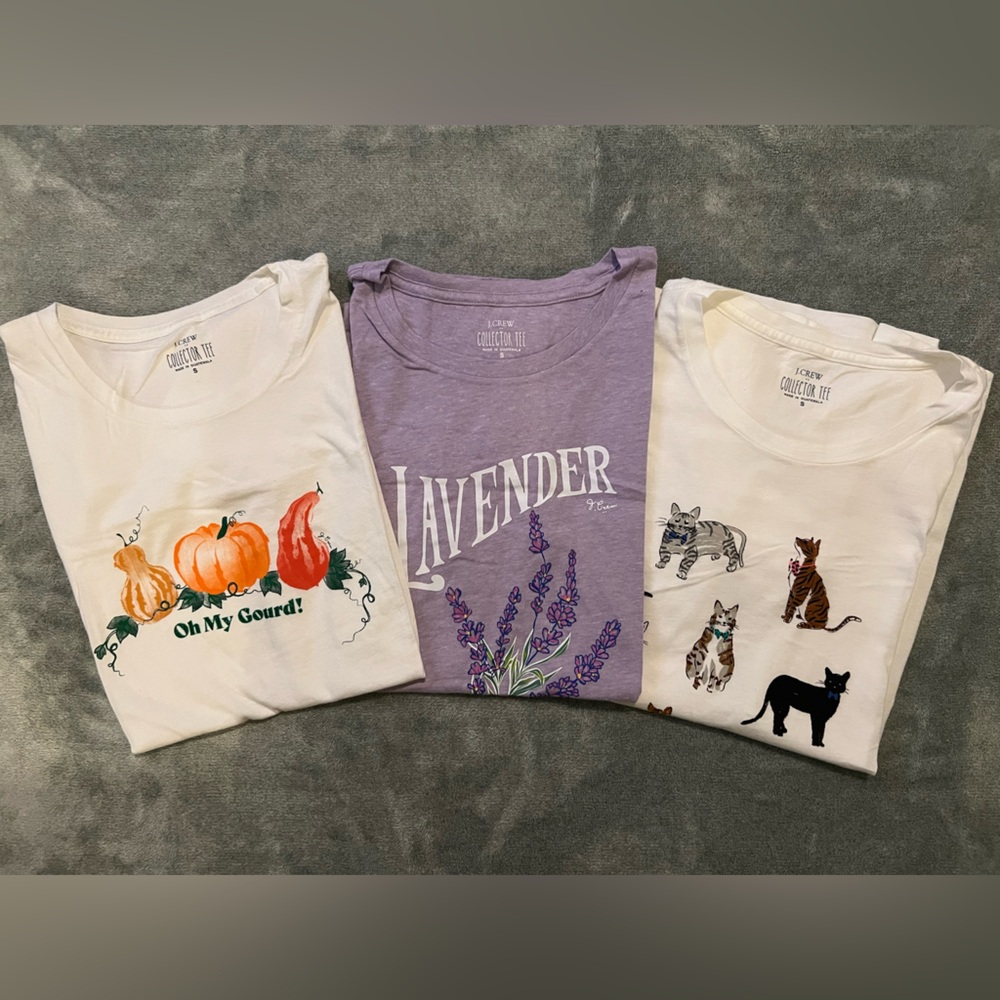 J. Crew Factory - short sleeve Collectors Tee bundle - S
